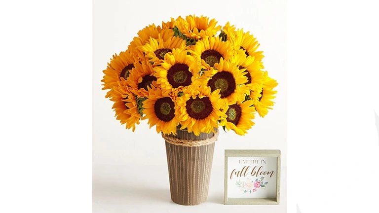 1800 Flowers: The Complete Guide to Thoughtful Gifting That Truly Connects