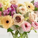 Florist Rancho Cordova: Fresh Flowers That Speak From the Heart