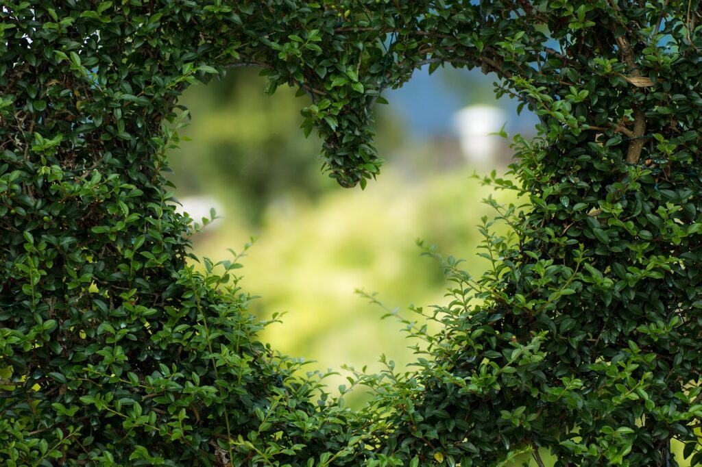 Florist Rancho Cordova: Fresh Flowers That Speak From the Heart