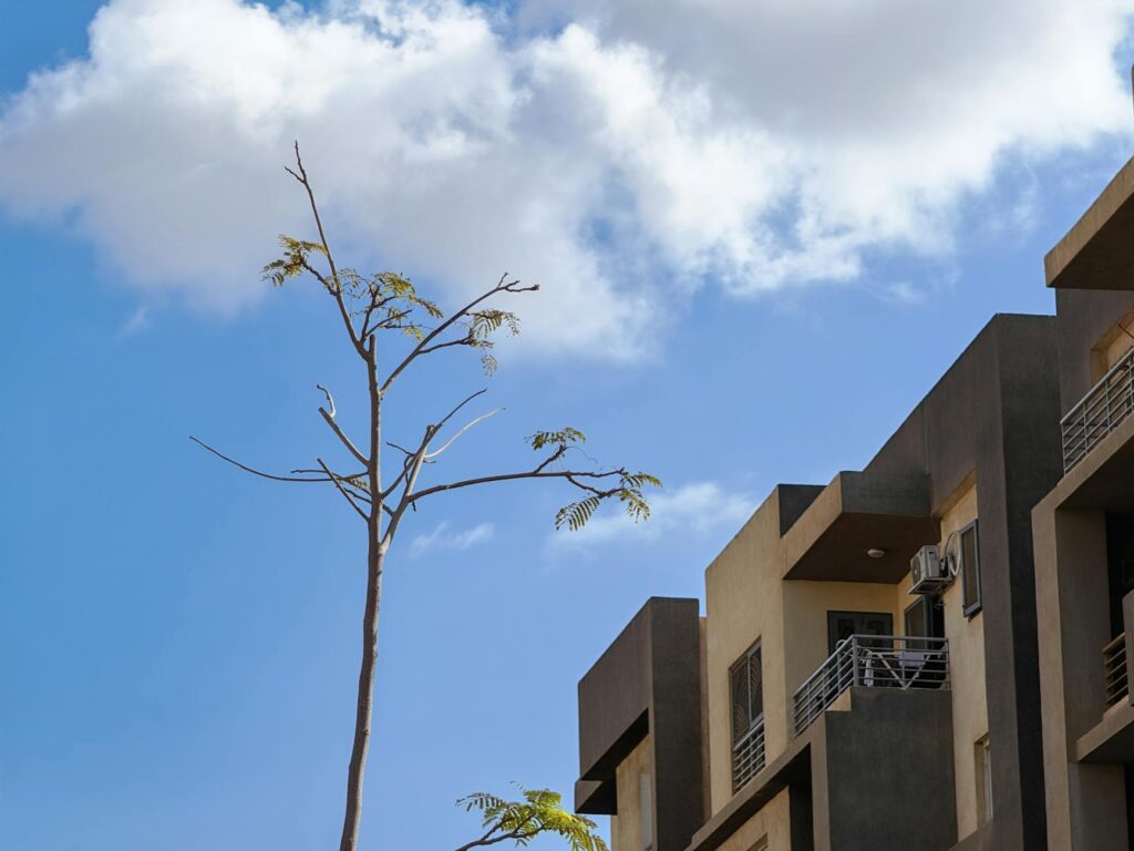 r&l estate: Smart Property Decisions for Long-Term Growth