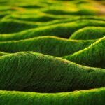 Bodenxt 2026: Unlocking Sweden’s Green Industrial Future