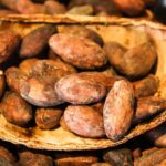 Nibs Cocoa Beans: Your 2026 Guide to a Flavorful Superfood
