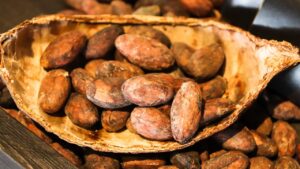 cacao nibs close up