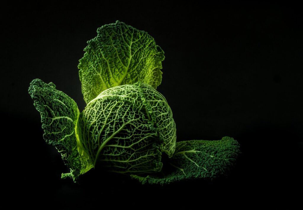 Culantro: Your 2026 Guide to Growing, Cooking, and Value