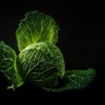 fresh culantro leaves