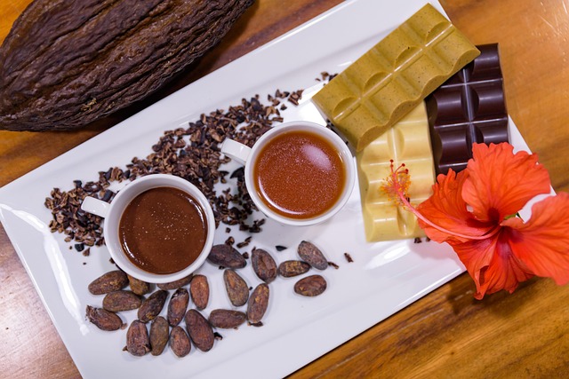 infographic of cacao nibs nutrition facts per 100g (nibs cocoa beans)