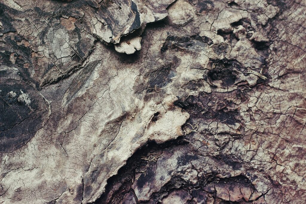 Terracotta: Earth’s Timeless Material for Modern Spaces in 2026