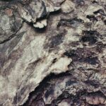 terracotta material