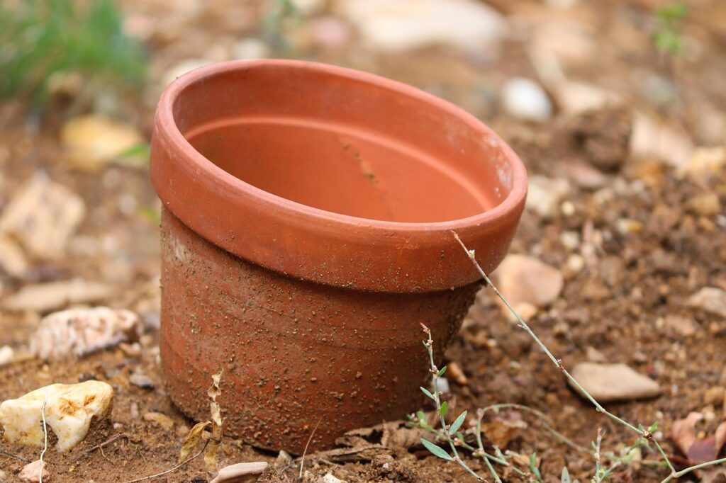 Terracotta: Earth’s Enduring Material in 2026