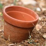 terracotta pots garden